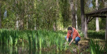 Gastronomie - Nature - Restaurant - le Saltimbanque - Baie de Somme - Hauts de France